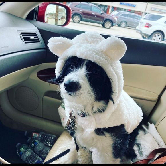 Meet your Posher, Katie - Picture 1 of 2